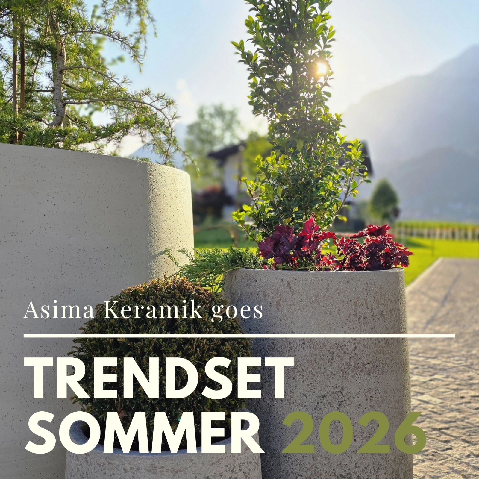 TrendSet Sommer 2026