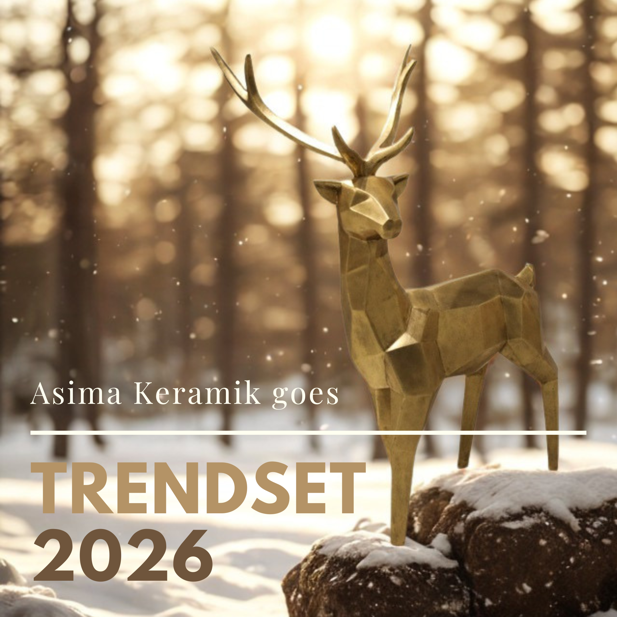 TrendSet Sommer 2026